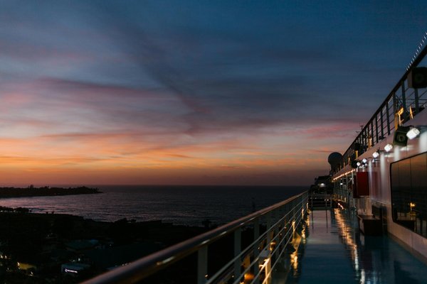 Comment planifier un camping pour observer les oiseaux migrateurs en Camargue?